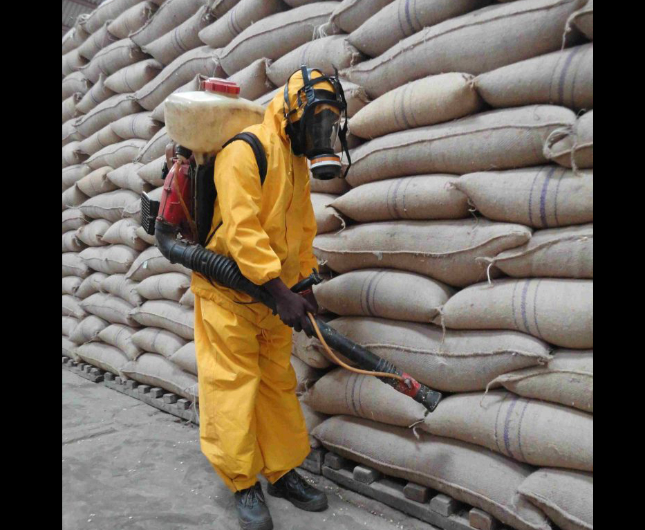 Pest-control-min-1-compressed-768x1024
